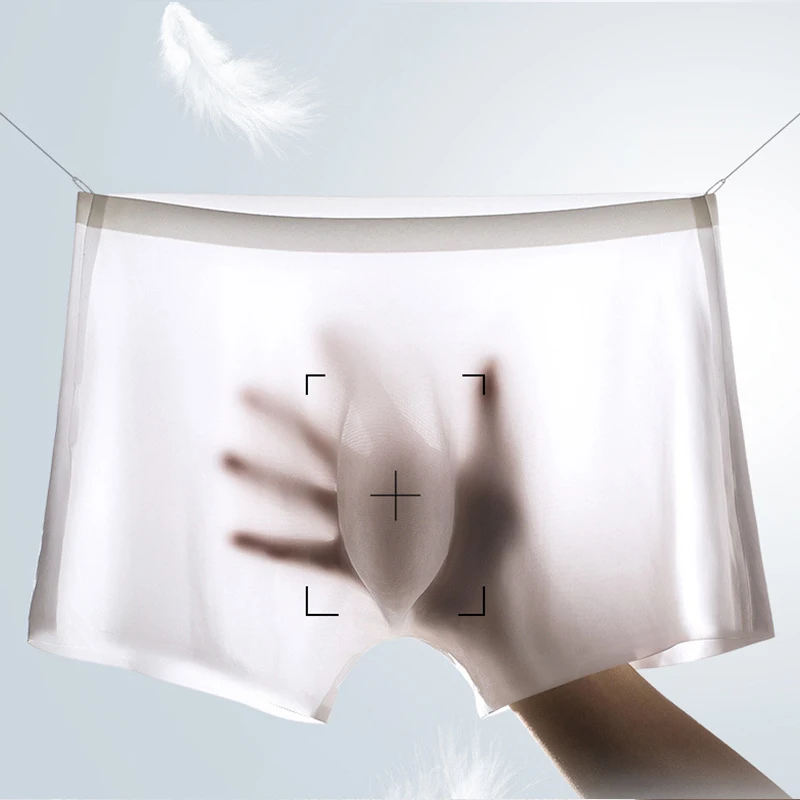10 Pcs/Lot Men's Summer Ice Si - đánh giá và giá Boxer Shorts Modal