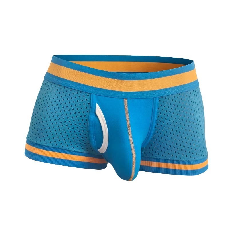 Men Mesh Breathable Boxer Brie - đánh giá và giá Mesh Sport Boxer